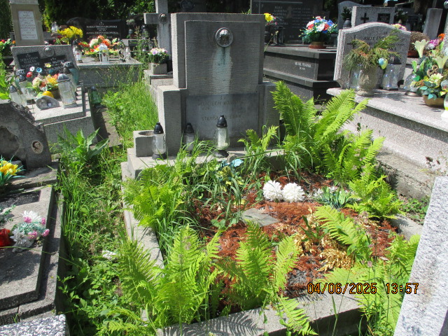 Stanisława Daniec 1898 Wieliczka - Grobonet - Wyszukiwarka osób pochowanych