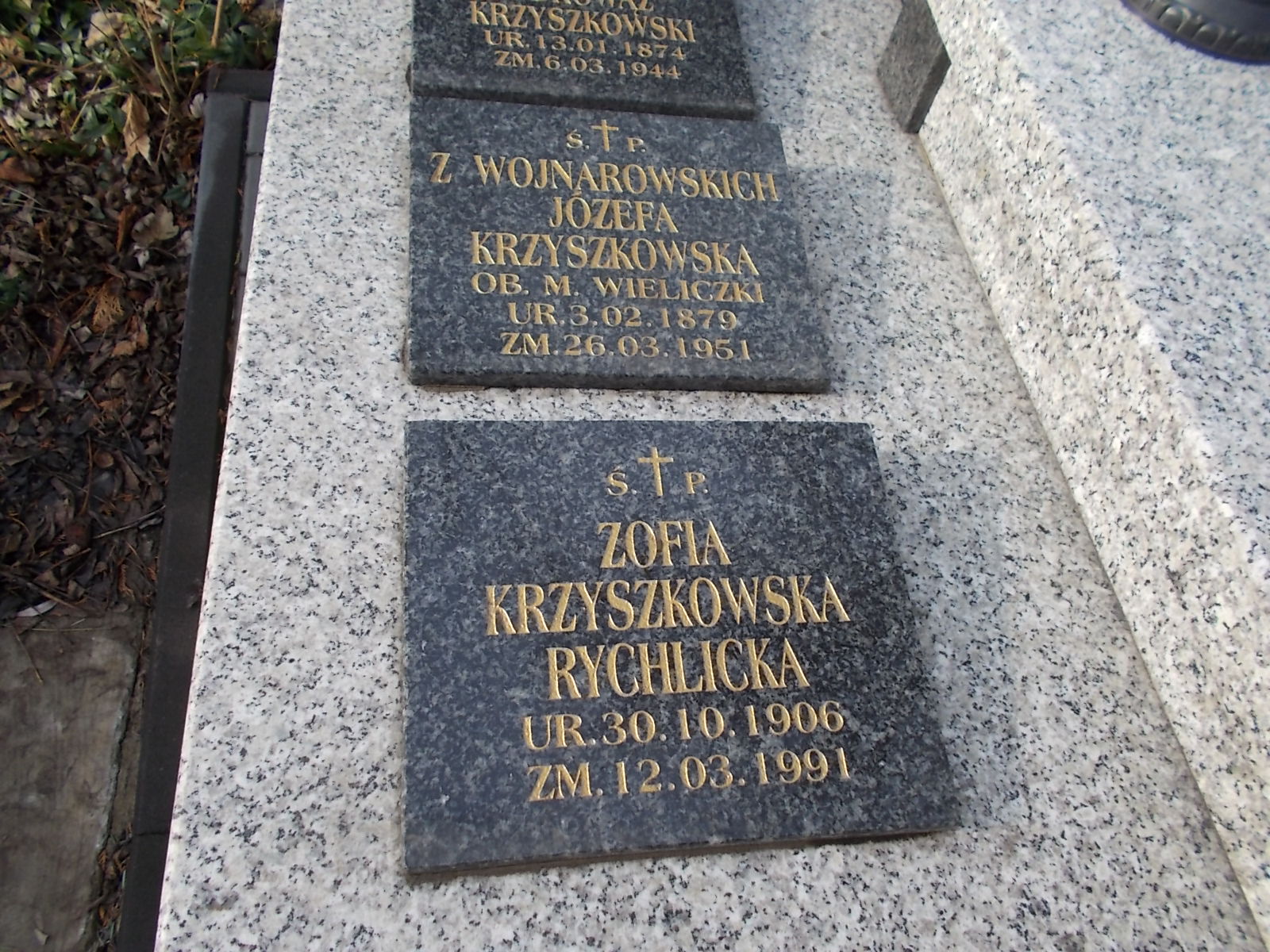 Julia Wojnarowska 1855 Wieliczka - Grobonet - Wyszukiwarka osób pochowanych