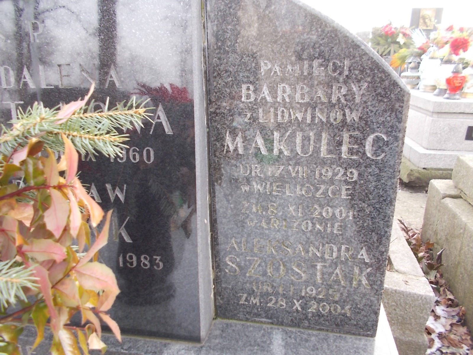 Magdalena Szostak 1903 Wieliczka - Grobonet - Wyszukiwarka osób pochowanych