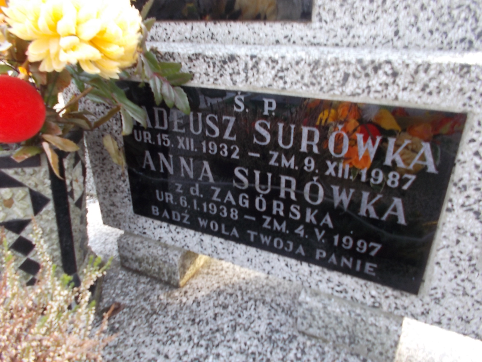 Tadeusz Surówka 1932 Wieliczka - Grobonet - Wyszukiwarka osób pochowanych