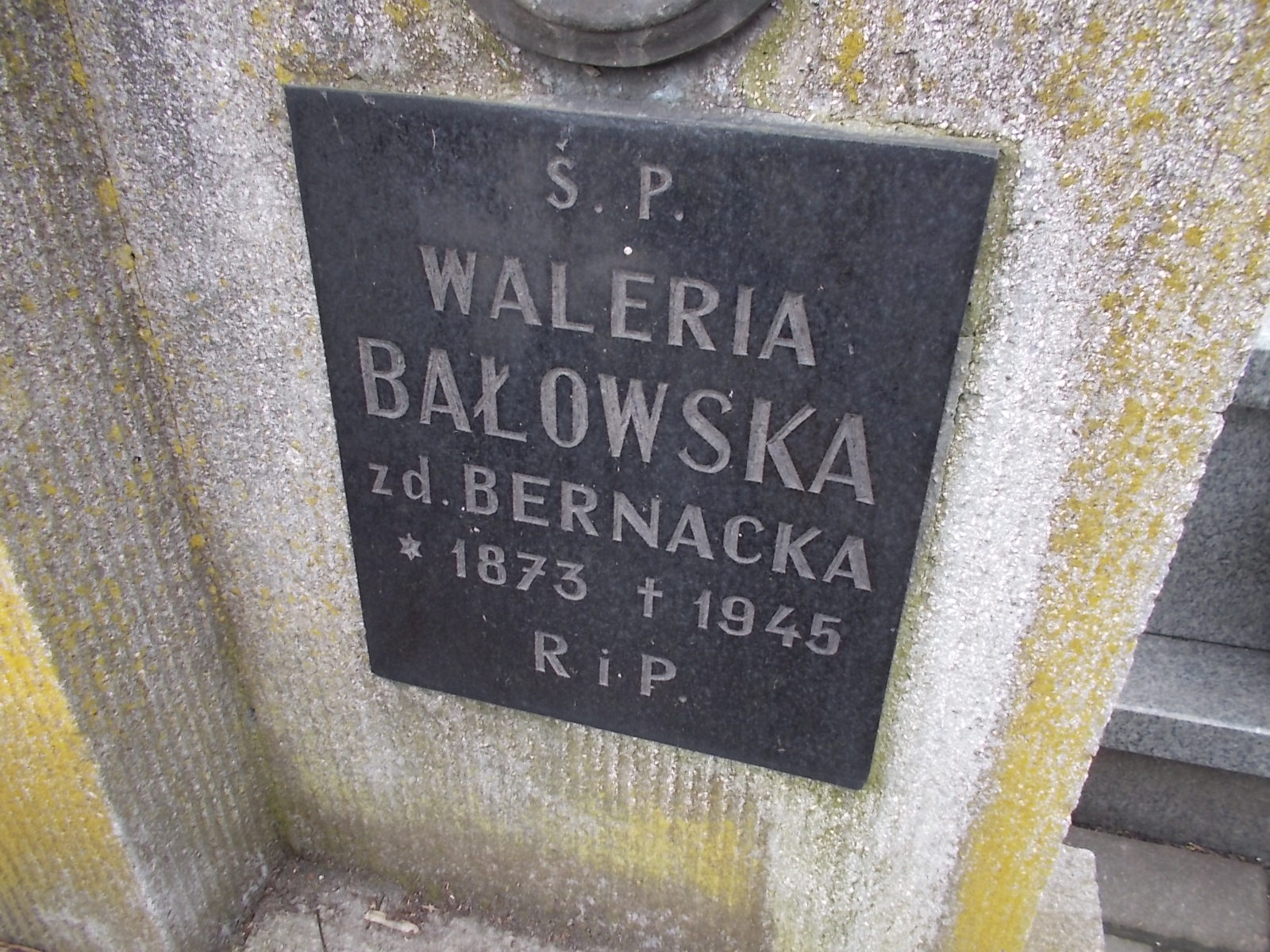 Waleria Bałowska 1872 Wieliczka - Grobonet - Wyszukiwarka osób pochowanych