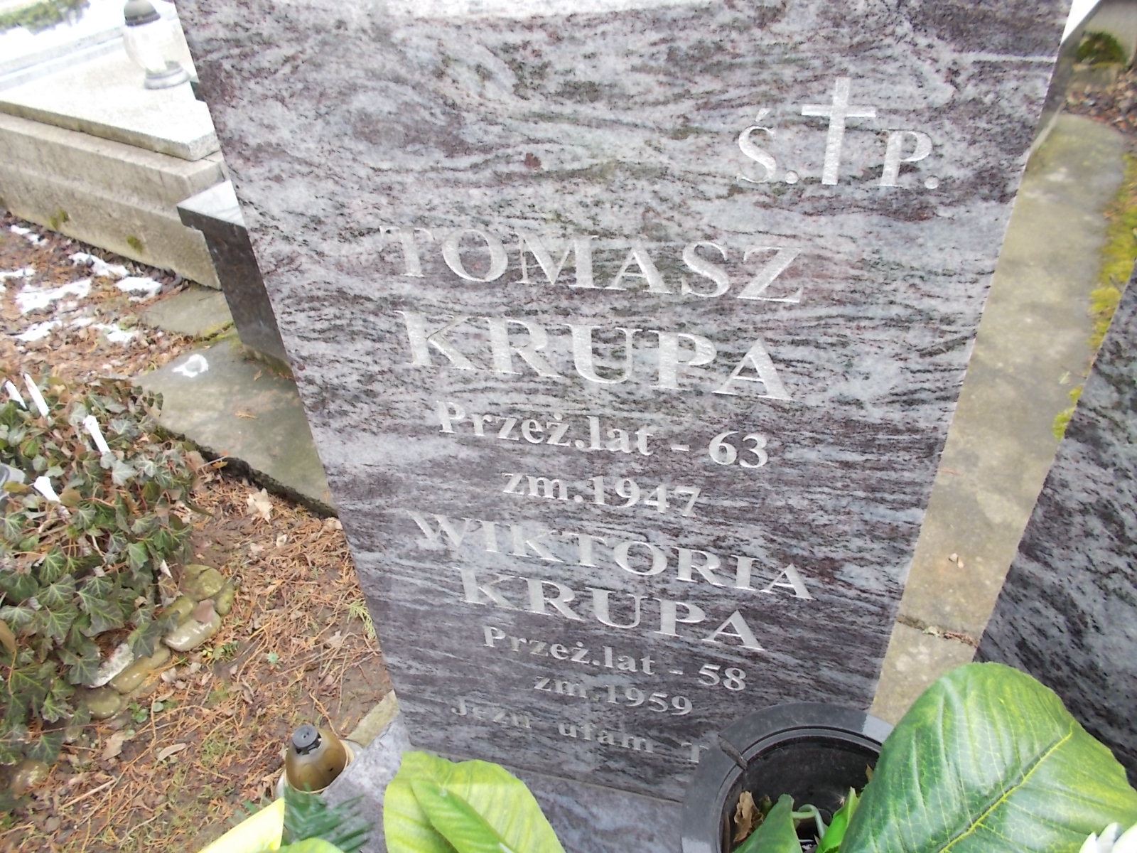 Tomasz Krupa 1883 Wieliczka - Grobonet - Wyszukiwarka osób pochowanych