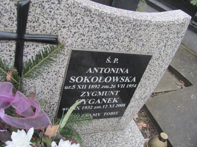 Antonina Sokołowska 1892 Wieliczka - Grobonet - Wyszukiwarka osób pochowanych