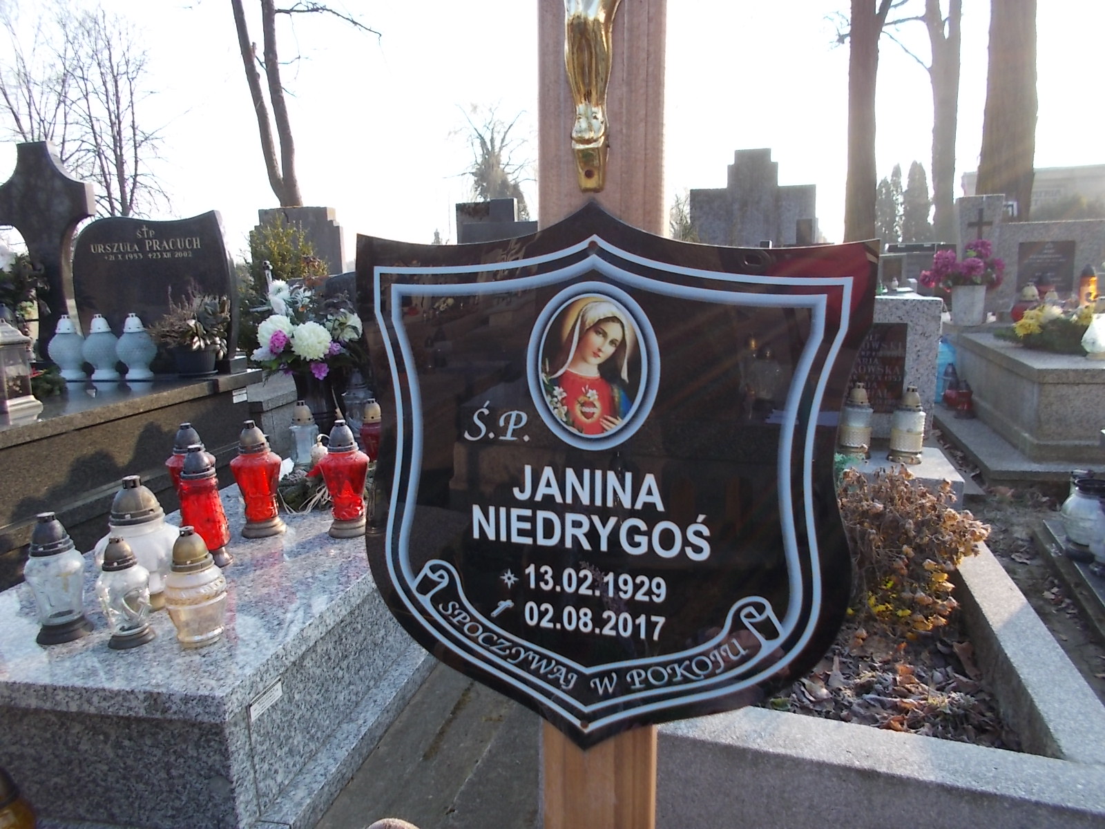 Stefania Bania 1909 Wieliczka - Grobonet - Wyszukiwarka osób pochowanych