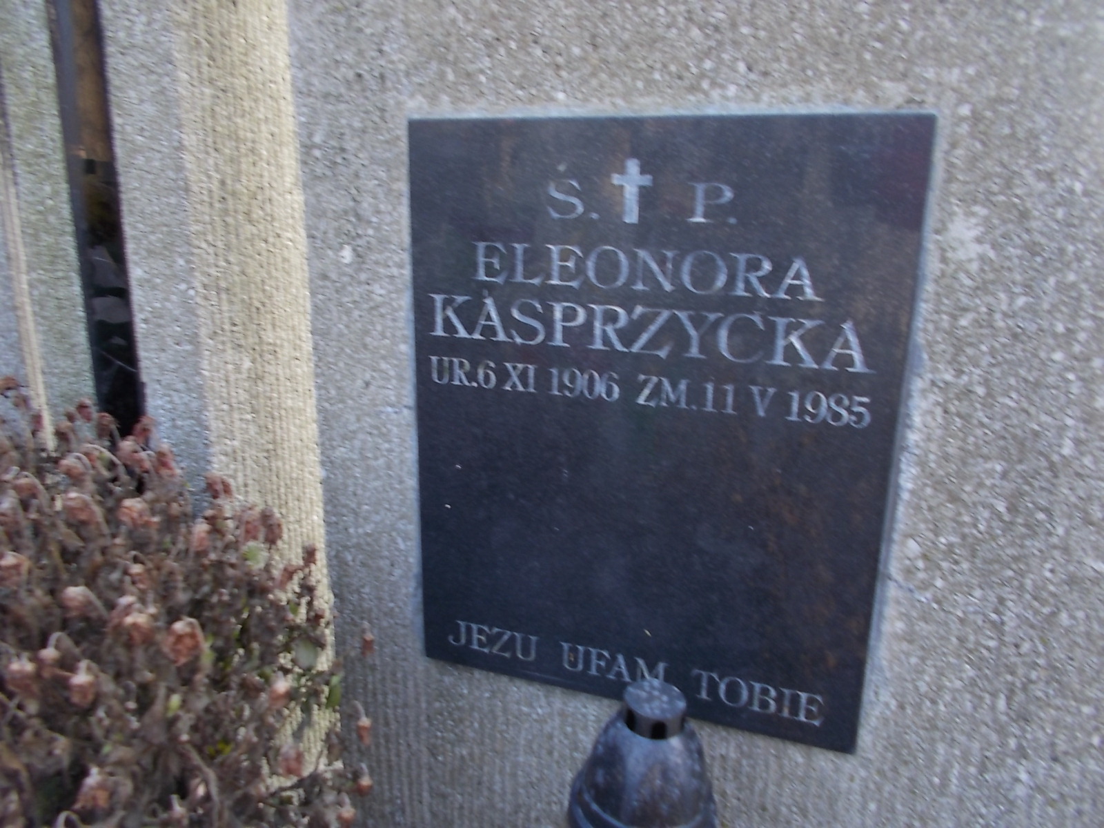 Stanisław Kasprzycki 1903 Wieliczka - Grobonet - Wyszukiwarka osób pochowanych