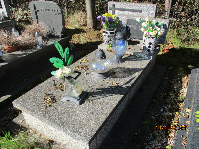 Zofia Niewęgłowska 1905 Wieliczka - Grobonet - Wyszukiwarka osób pochowanych